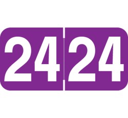 Ames -         2024 - Purple/White 1 1/2