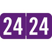 Acme -         2024 - Purple/White 1 1/2